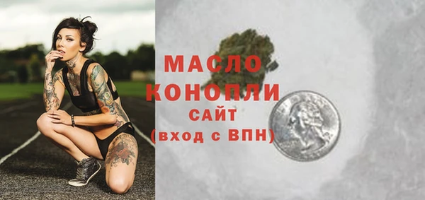 дмт Гатчина