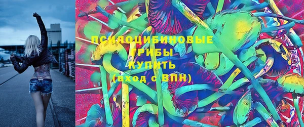 PSILOCYBIN Семикаракорск