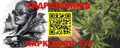 крисы Кимры