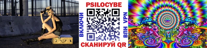 нарко площадка какой сайт  Ленинск-Кузнецкий  Псилоцибиновые грибы Psilocybine cubensis 