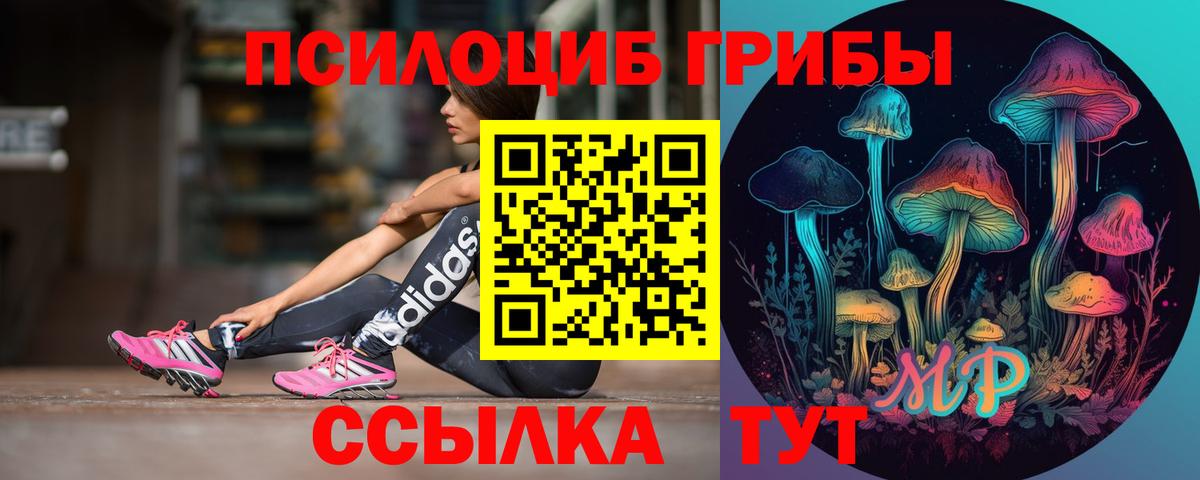 Ленинск-Кузнецкий  продажа наркотиков  Вход с VPN  Галлюциногенные грибы GOLDEN TEACHER 