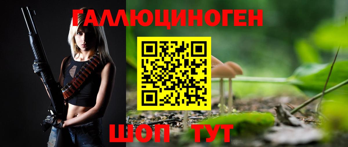 Псилоцибиновые грибы мухоморы Ленинск-Кузнецкий